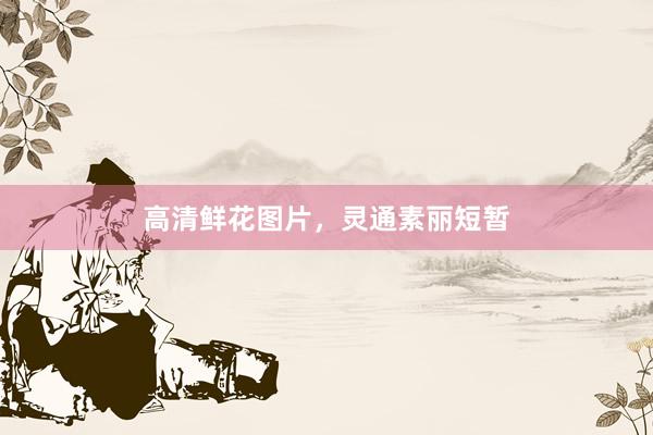 高清鲜花图片，灵通素丽短暂