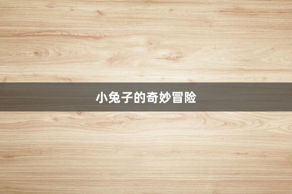 小兔子的奇妙冒险